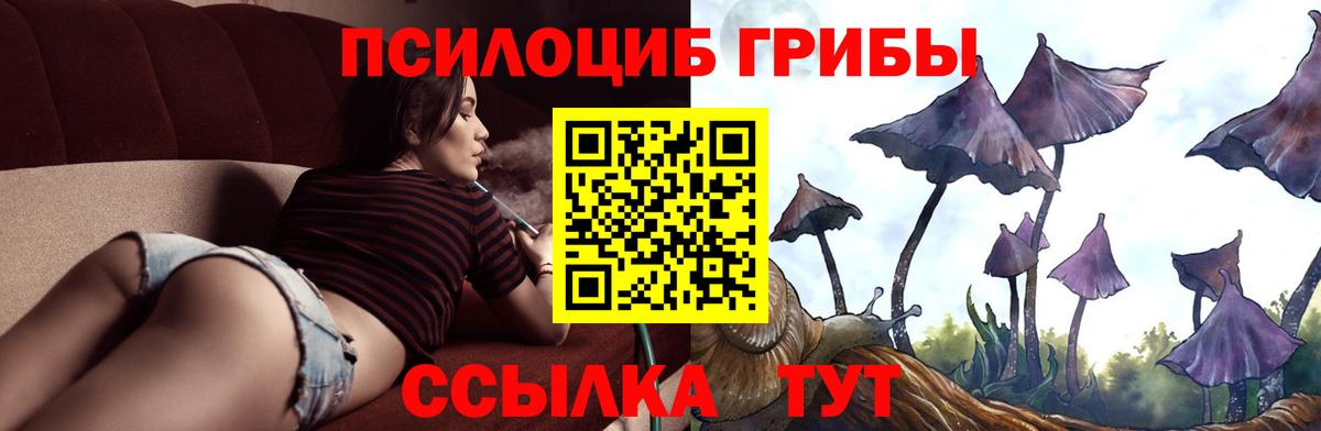 Псилоцибиновые грибы GOLDEN TEACHER Унеча