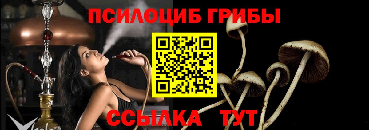 Унеча  Галлюциногенные грибы MAGIC MUSHROOMS  где продают   Вход с VPN 